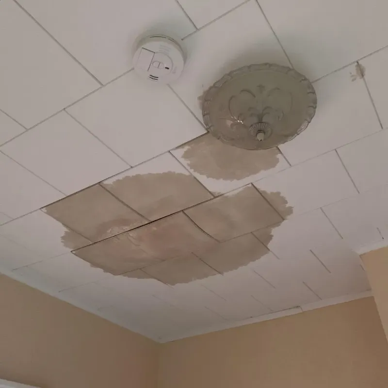 Ceiling Water Damage Repair in Buckeystown, MD