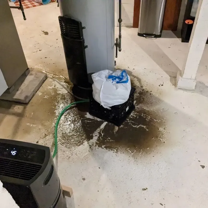 Sewage Backup Cleanup Service in Buckeystown, MD